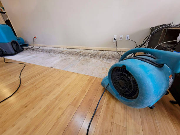 Professional Flood Damage Cleanup technician working in Coldwater, MI